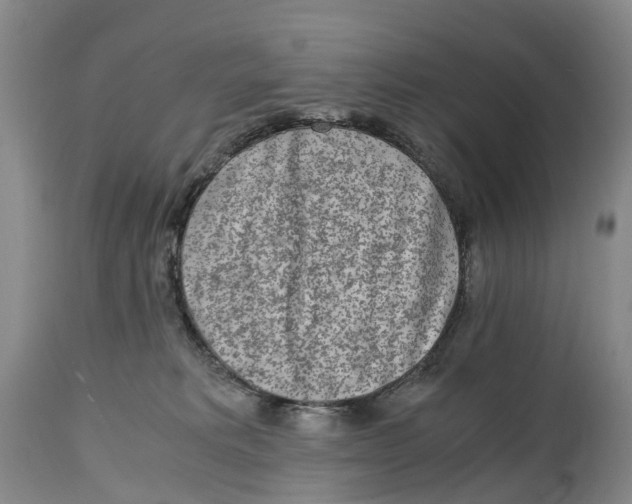 X0000115000229200911161544