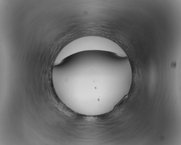 X0000115000233200911161544