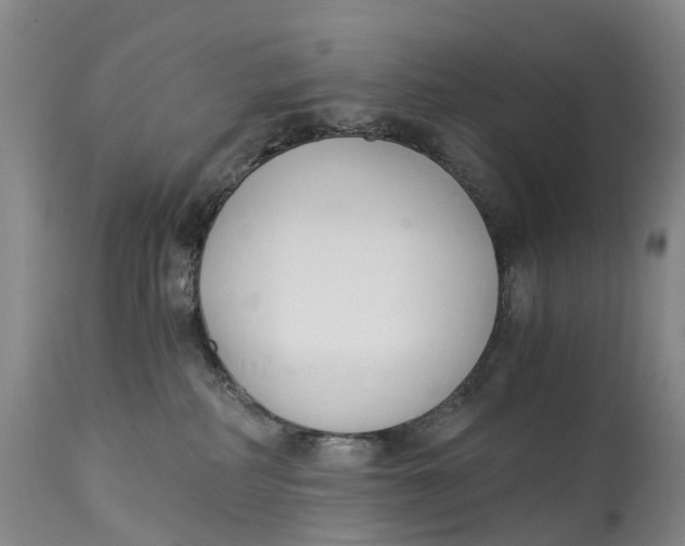 X0000115000234200911161544