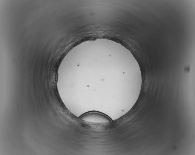 X0000115000236200911161544