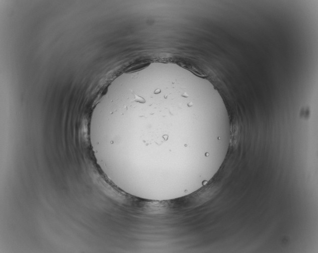 X0000115000238200911161544