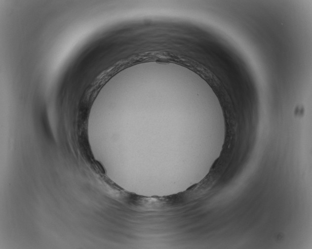 X0000115000239200911161544