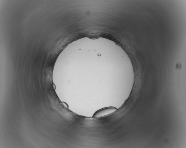 X0000115000240200911161544