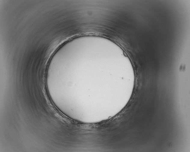 X0000115000241200911161543