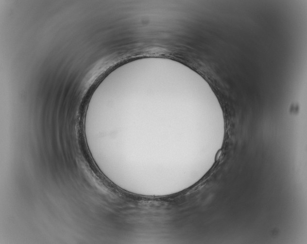 X0000115000242200911161543