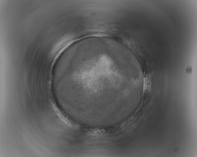 X0000115000243200911161543