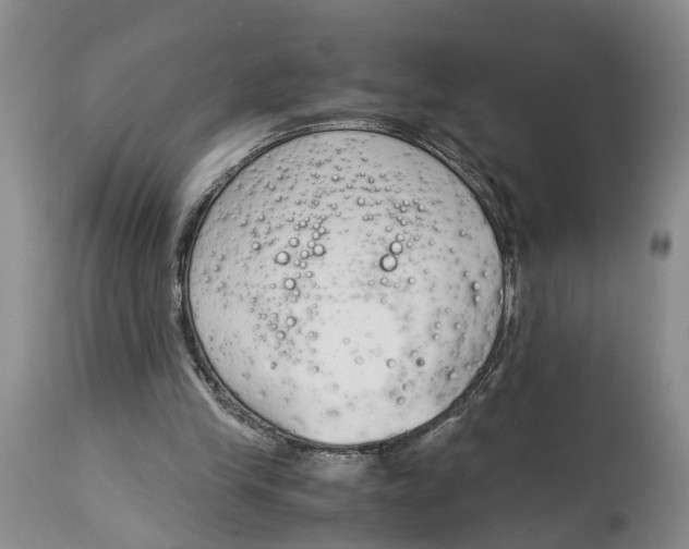 X0000115000245200911161543