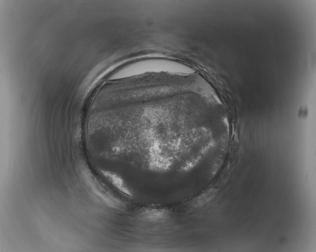 X0000115000247200911161543