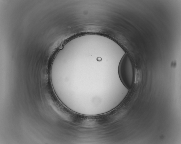 X0000115000252200911161543