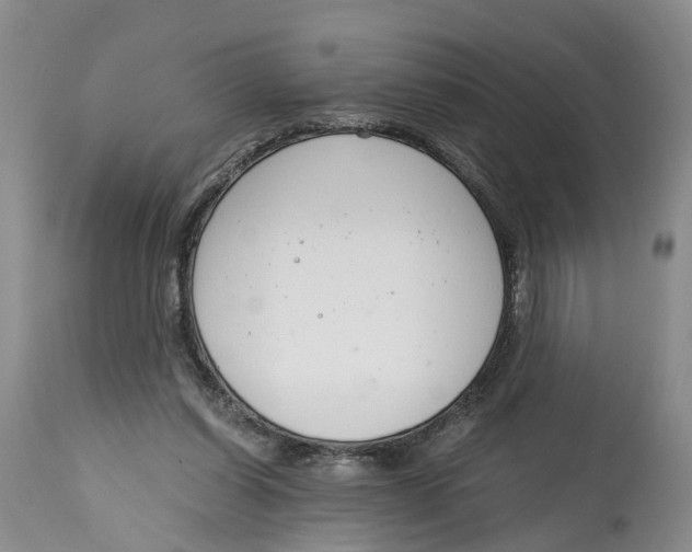 X0000115000254200911161543