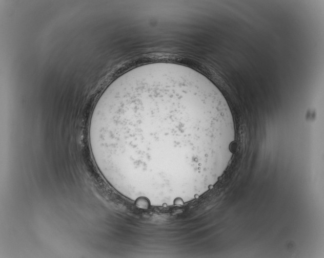 X0000115000255200911161543