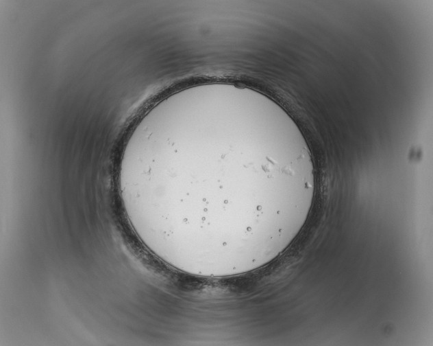 X0000115000256200911161543