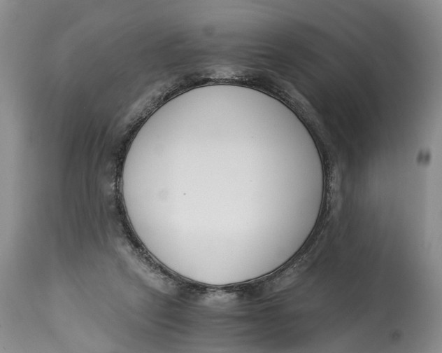 X0000115000257200911161543