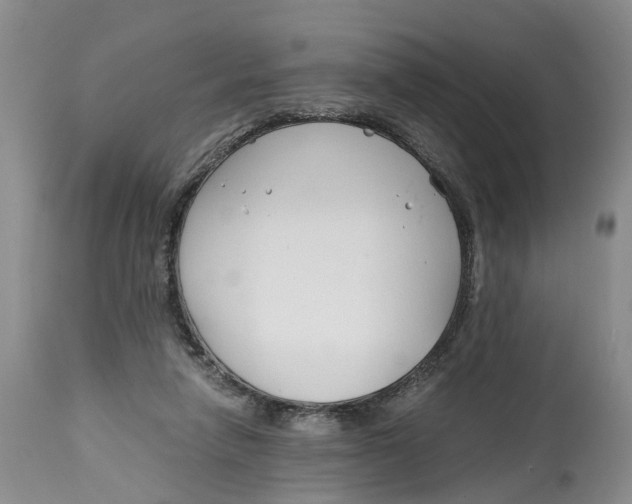 X0000115000258200911161543