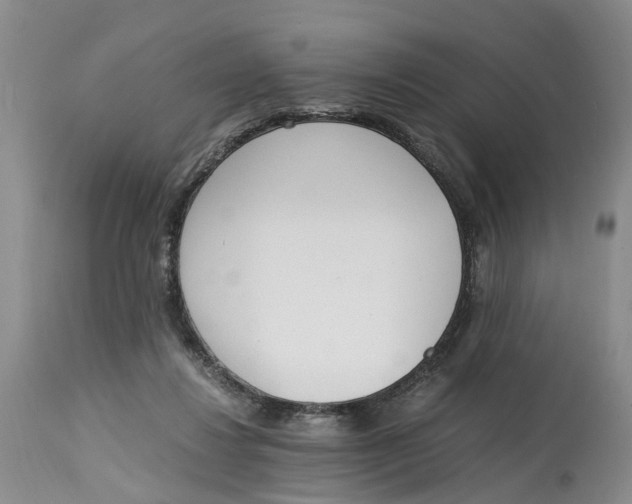 X0000115000260200911161543