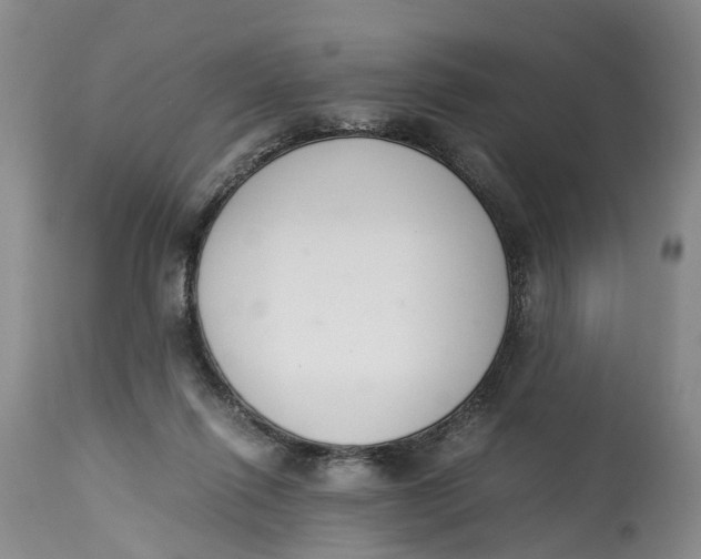 X0000115000262200911161543