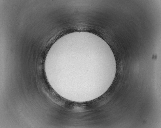 X0000115000263200911161543