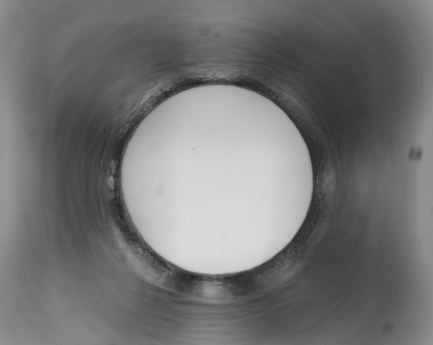 X0000115000264200911161543