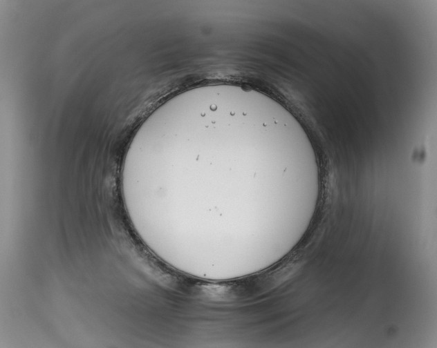 X0000115000265200911161543