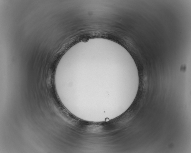 X0000115000266200911161543