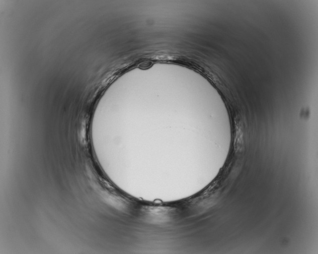 X0000115000268200911161543