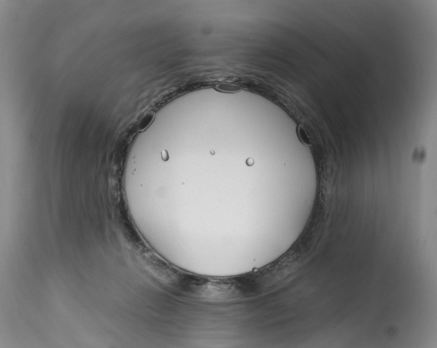 X0000115000270200911161543