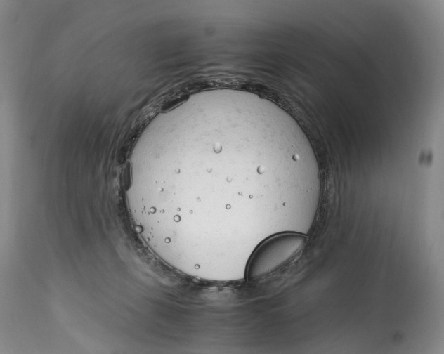 X0000115000271200911161544