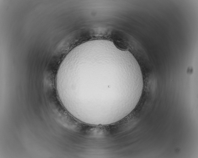 X0000115000272200911161544