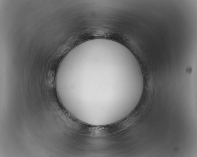 X0000115000273200911161544