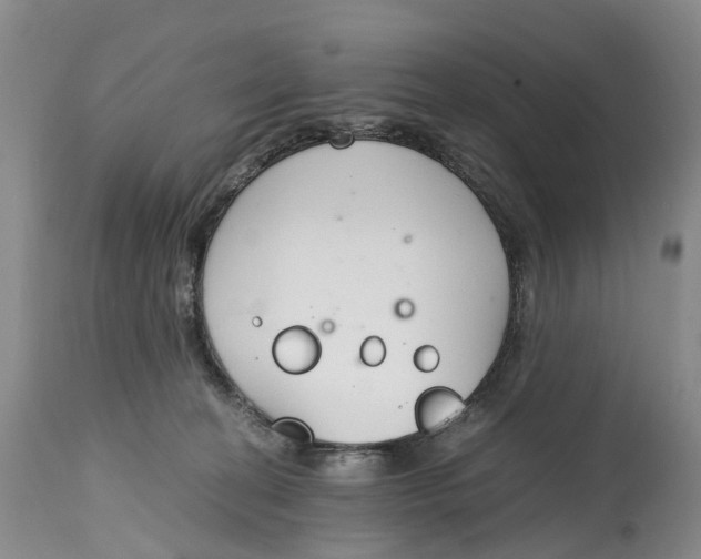 X0000115000274200911161544