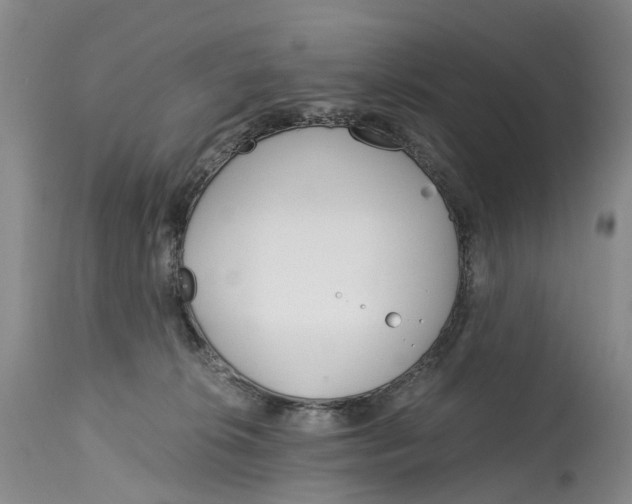 X0000115000276200911161544