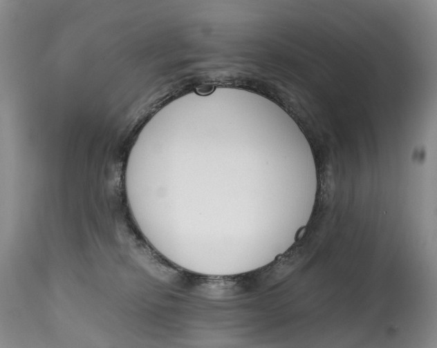 X0000115000278200911161544