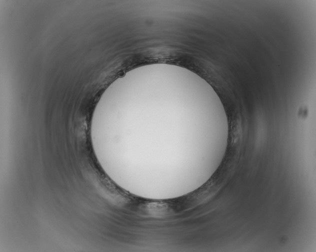 X0000115000279200911161544