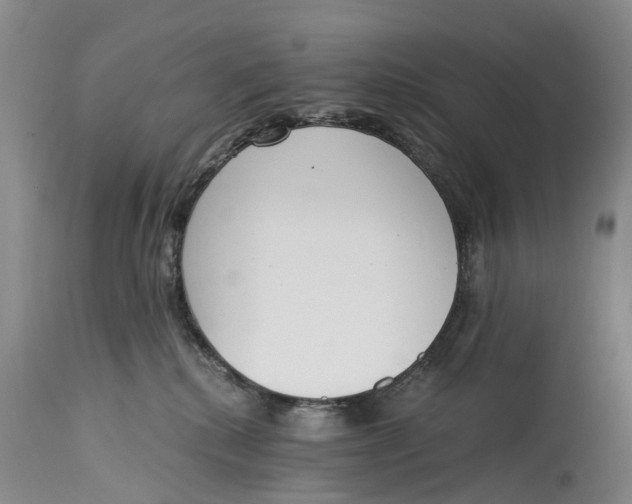 X0000115000280200911161544