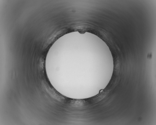 X0000115000282200911161544