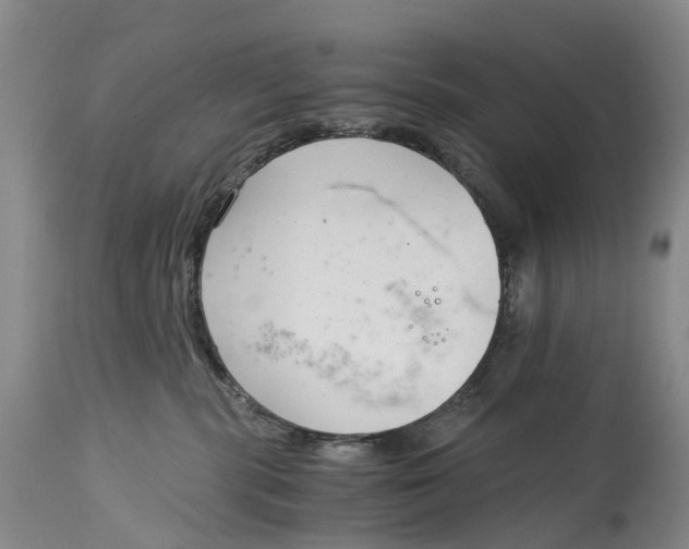 X0000115000283200911161544