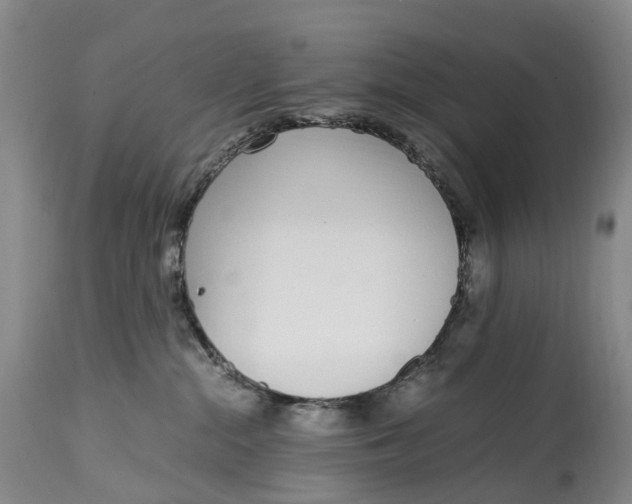 X0000115000284200911161544