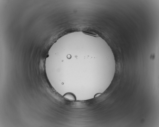 X0000115000286200911161544