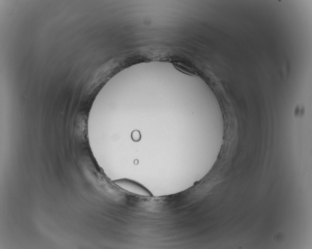 X0000115000288200911161544