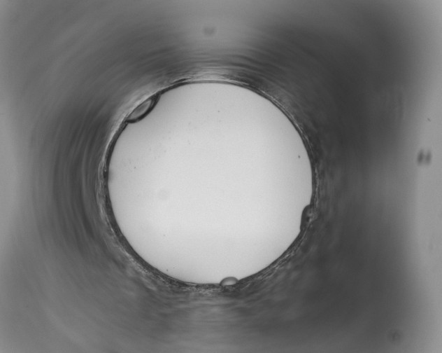 X0000115000289200911161543