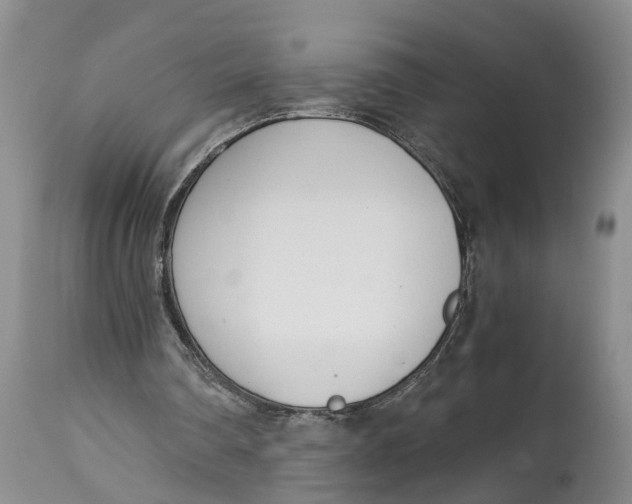 X0000115000290200911161543