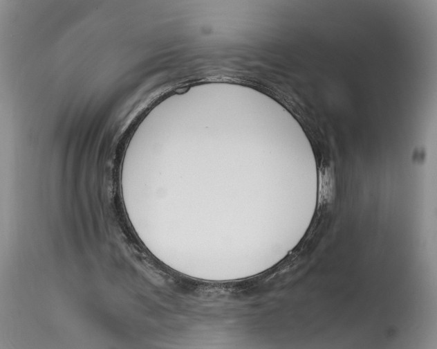 X0000115000291200911161543