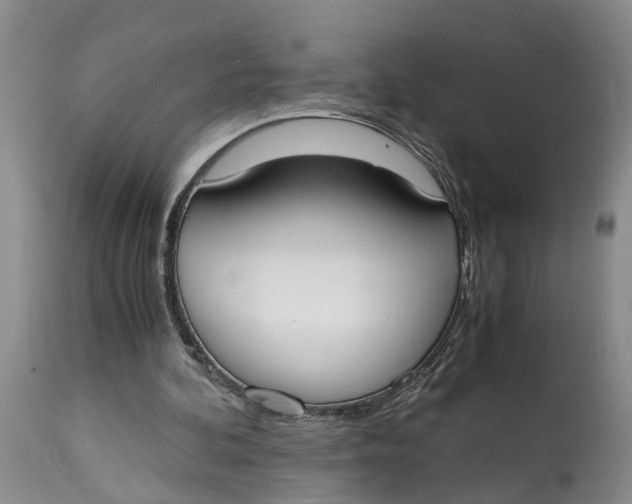 X0000115000292200911161543