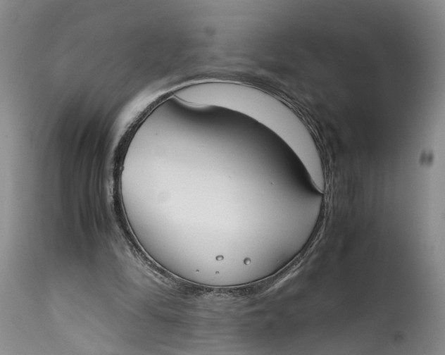 X0000115000294200911161543