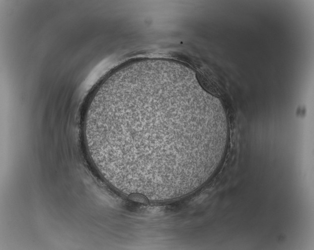 X0000115000295200911161543