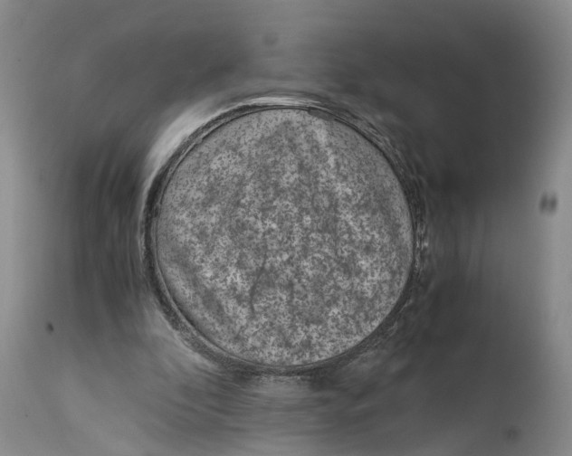 X0000115000296200911161543