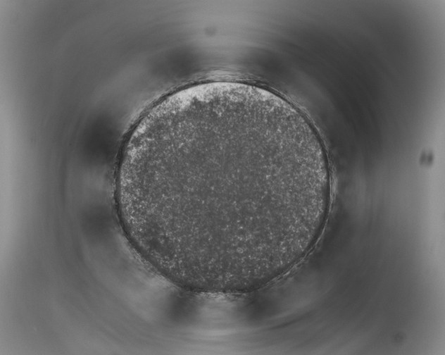 X0000115000297200911161543