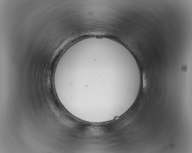 X0000115000300200911161543