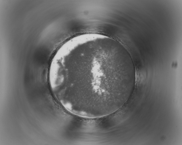 X0000115000301200911161543