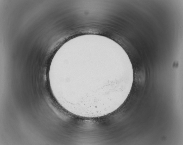 X0000115000302200911161543